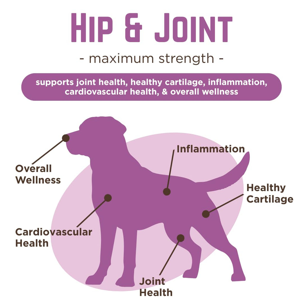 Glucosamine & Chondroitin Dog Joint Supplement Chews, Peanut Butter, 120 Ct D5146