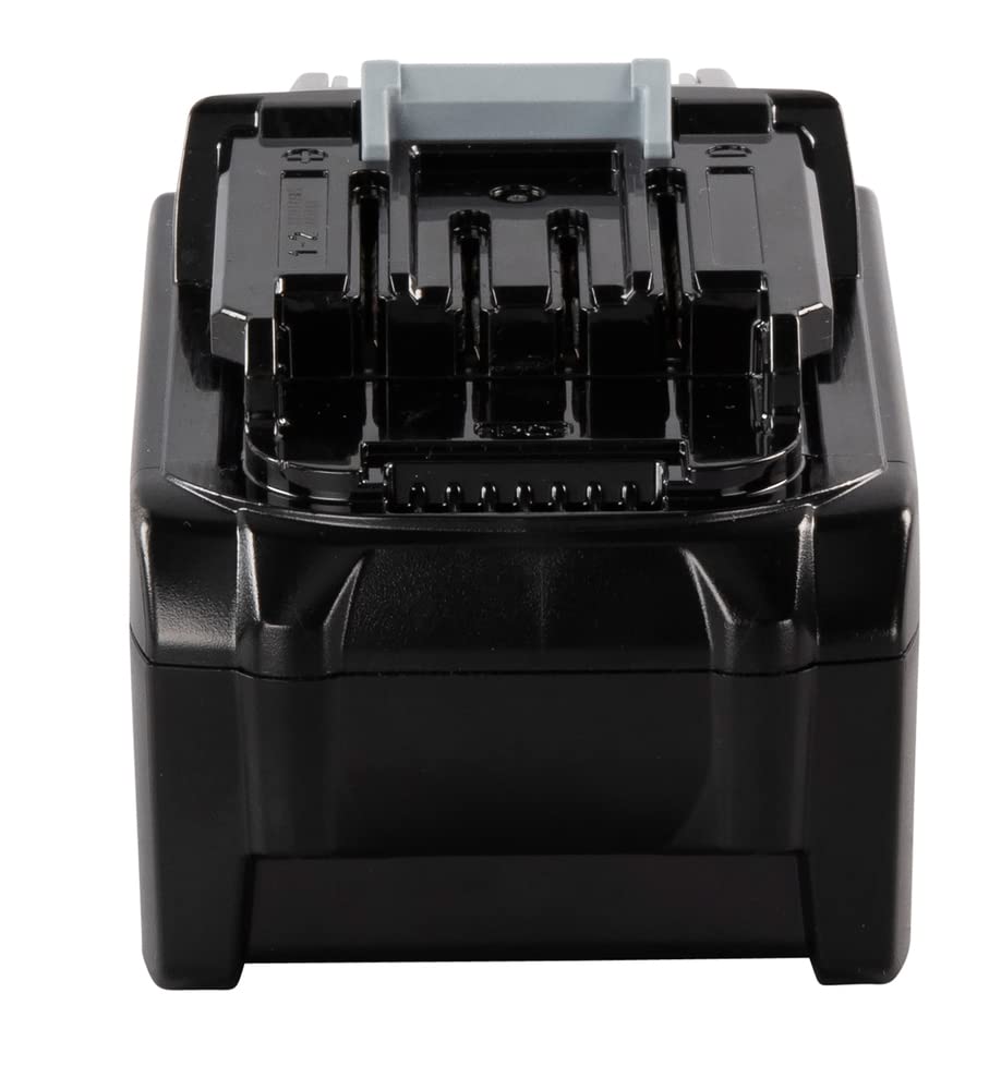 40V 4.0Ah Battery N29259