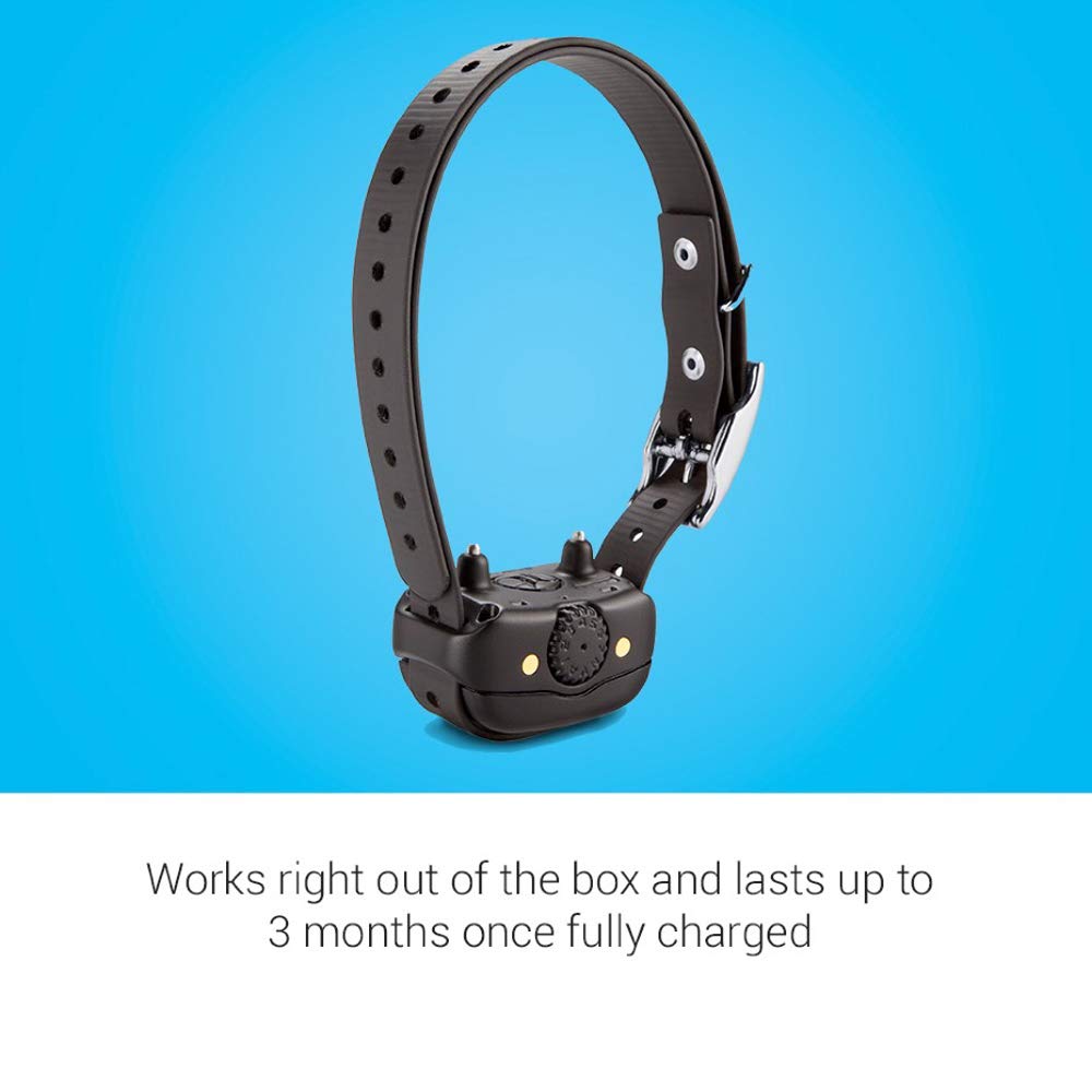 Rechargeable Dog Training Collar H5590