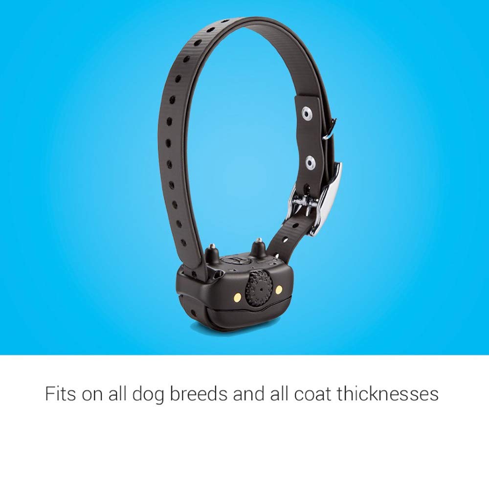Rechargeable Dog Training Collar H5590