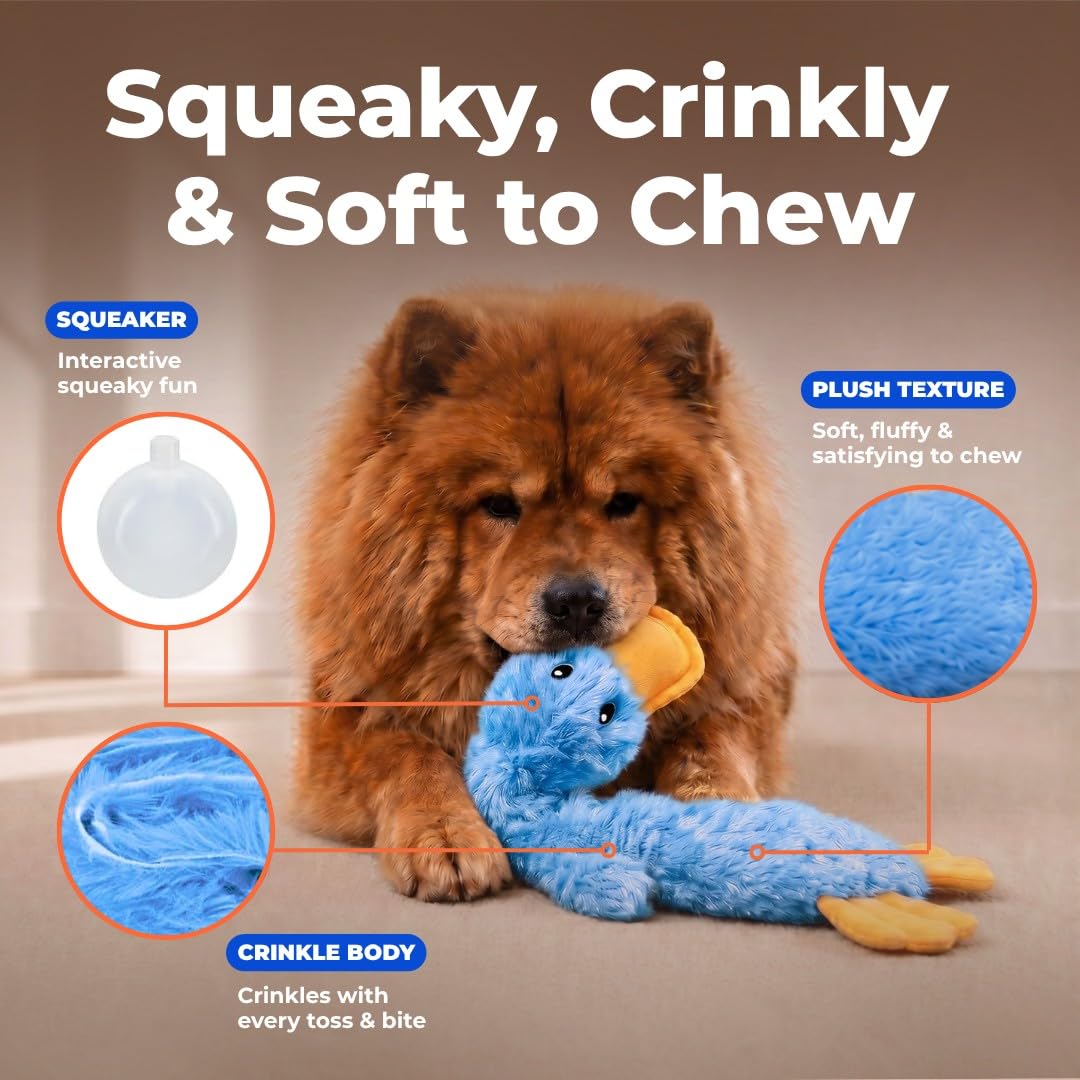 Interactive Squeaky Dog Toy Crinkle Duck Blue B391264
