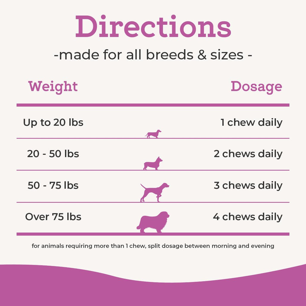 Glucosamine & Chondroitin Dog Joint Supplement Chews, Peanut Butter, 120 Ct D5146