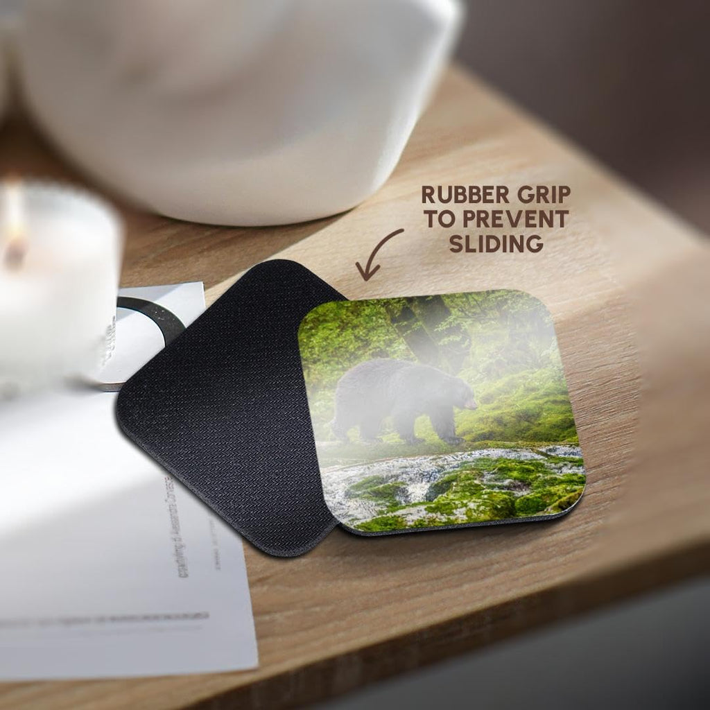 Set of 8 Coasters Y936411