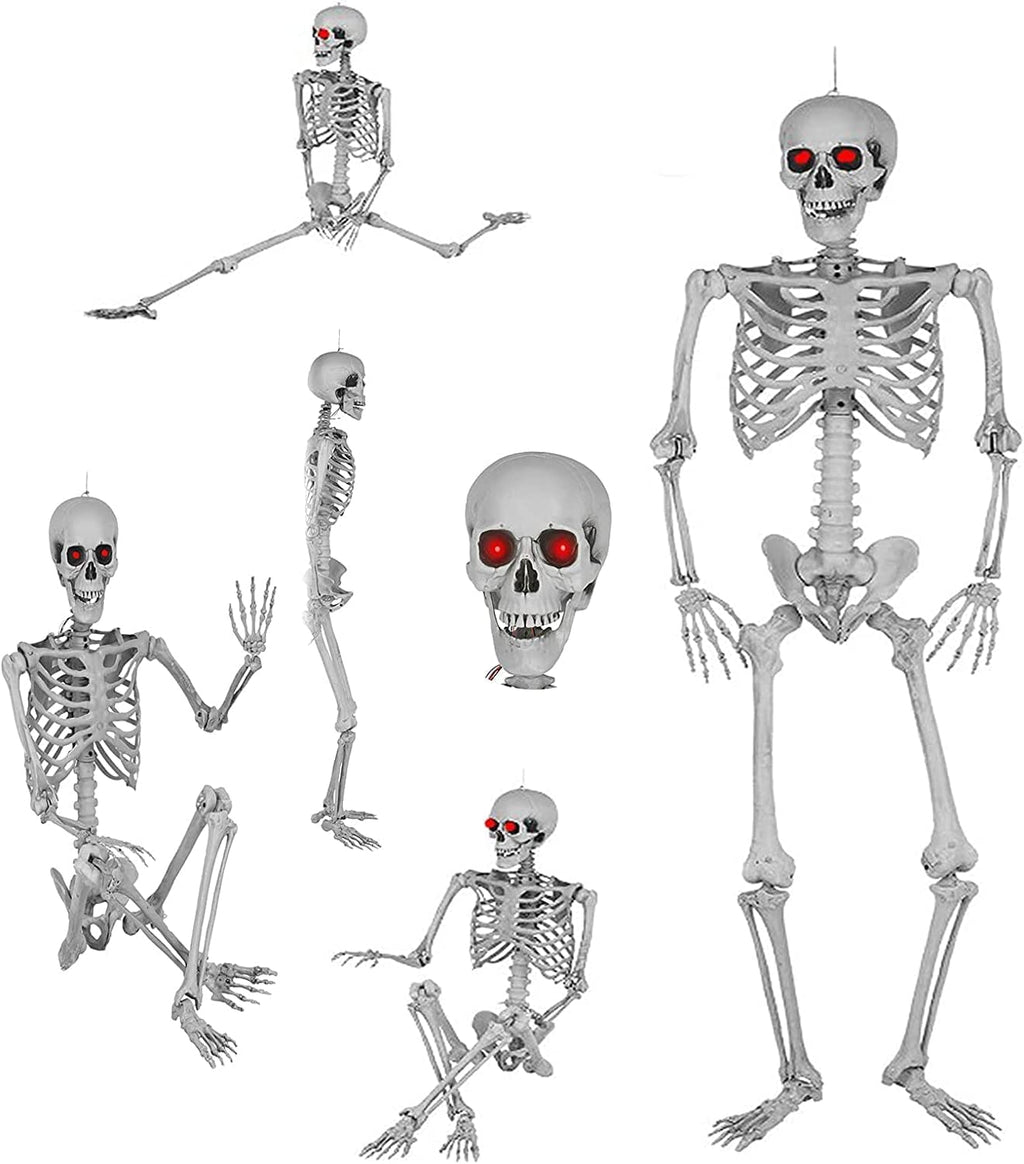 5.4ft Full Body Skeleton with Movable Joints N3469