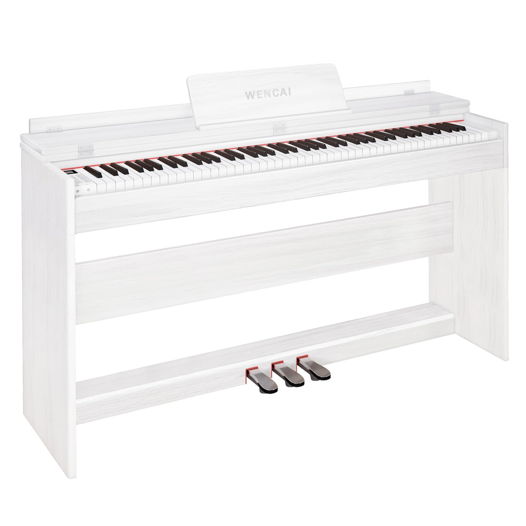 88 Key Fully Weighted Digital Piano Y82345
