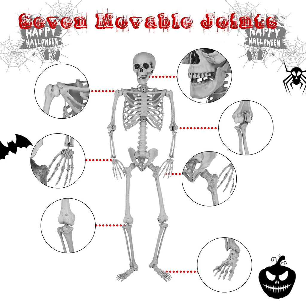 5.4ft Full Body Skeleton with Movable Joints N3469