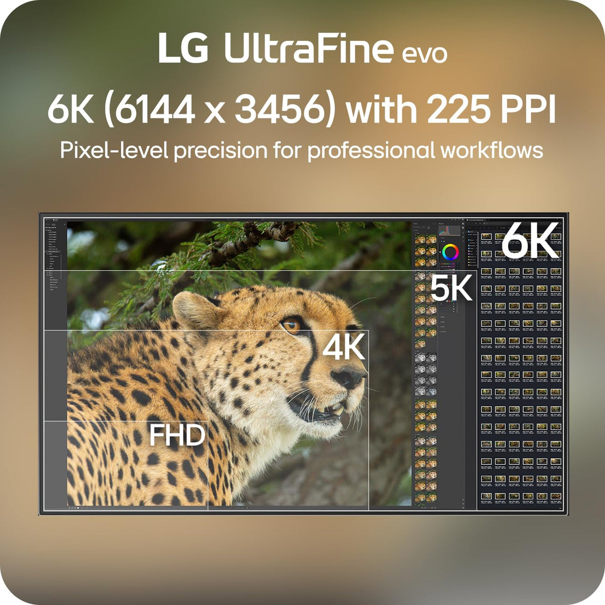 32-Inch 6K Nano IPS Black Monitor Z610343