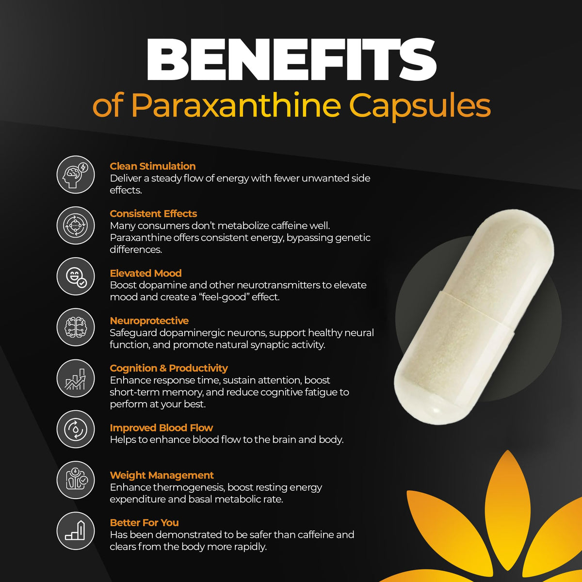 200 mg Paraxanthine Capsules J807