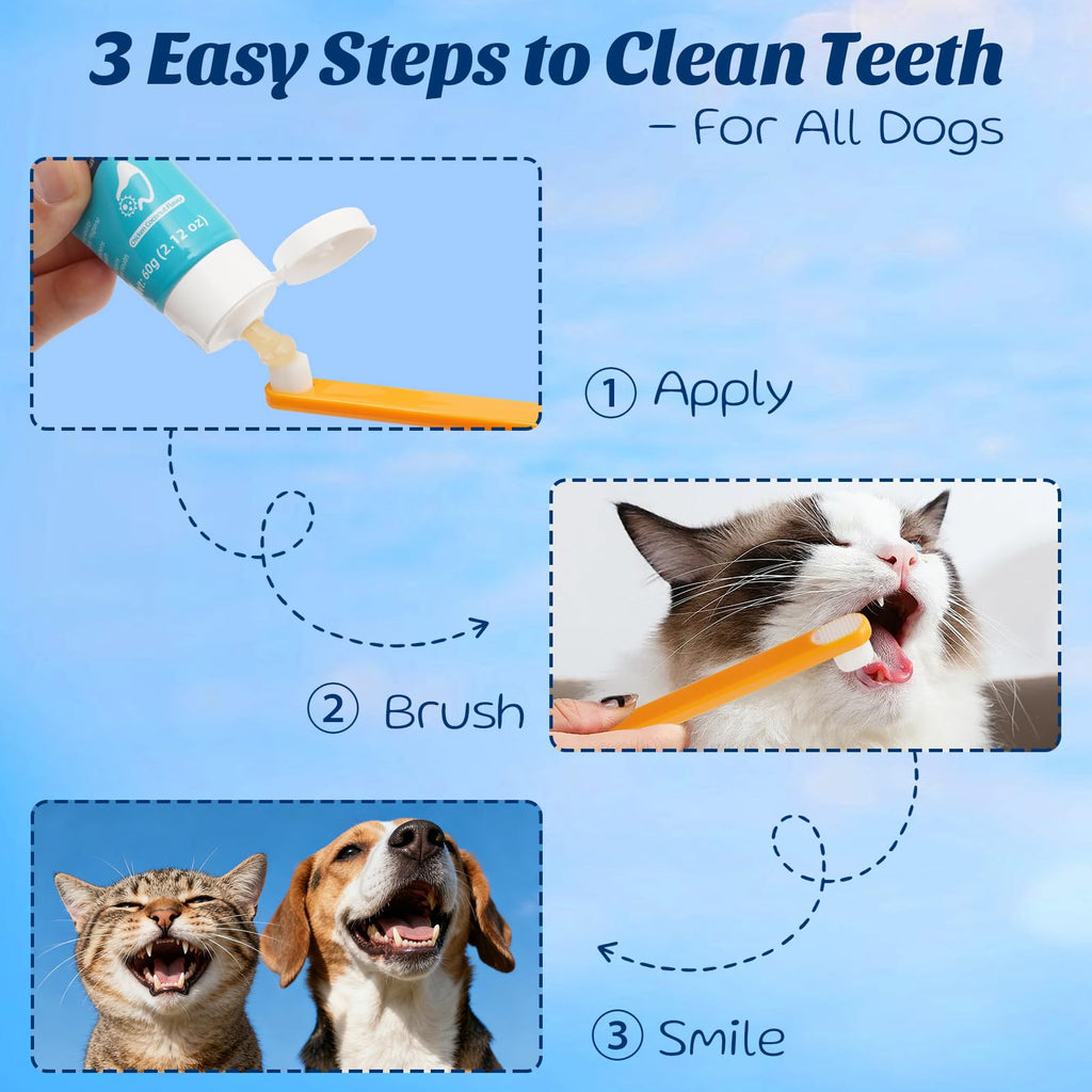 Coconut Chicken Flavor Dog Toothpaste with Toothbrush Kit 2.1oz G398226