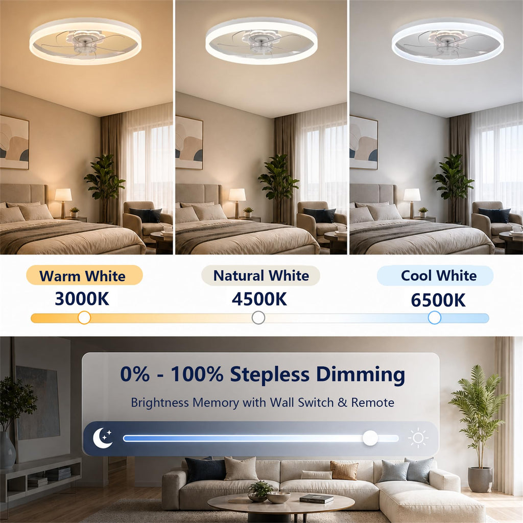 20'' Ceiling Fan with Light and Remote C377196