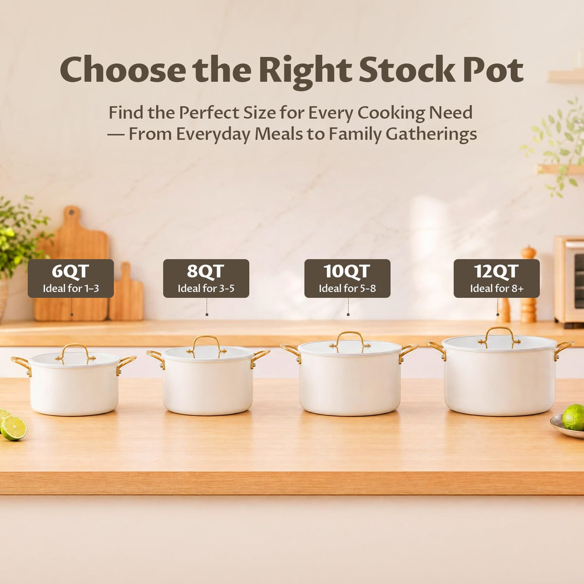 12 Quart Stainless Steel Stock Pot L92654