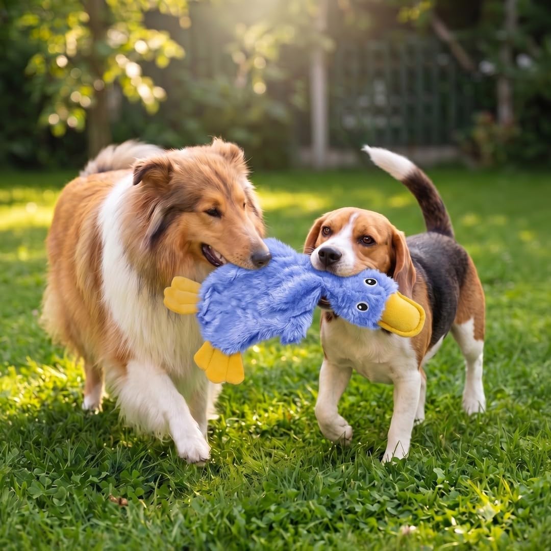 Interactive Squeaky Dog Toy Crinkle Duck Blue B391264