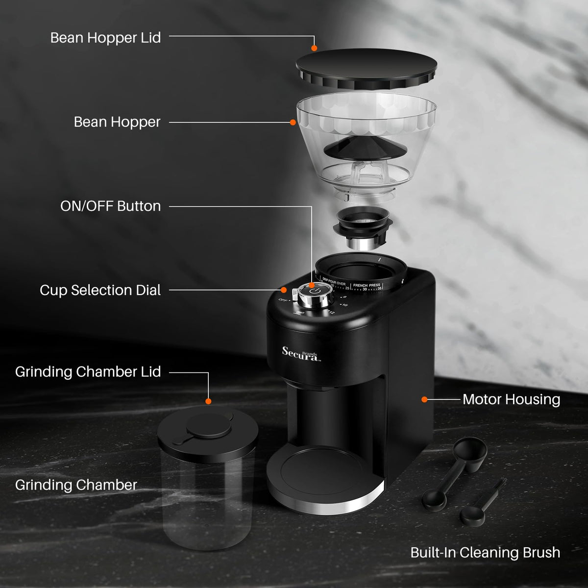 Electric Conical Burr Coffee Grinder with 35 Adjustable Grind Settings T641