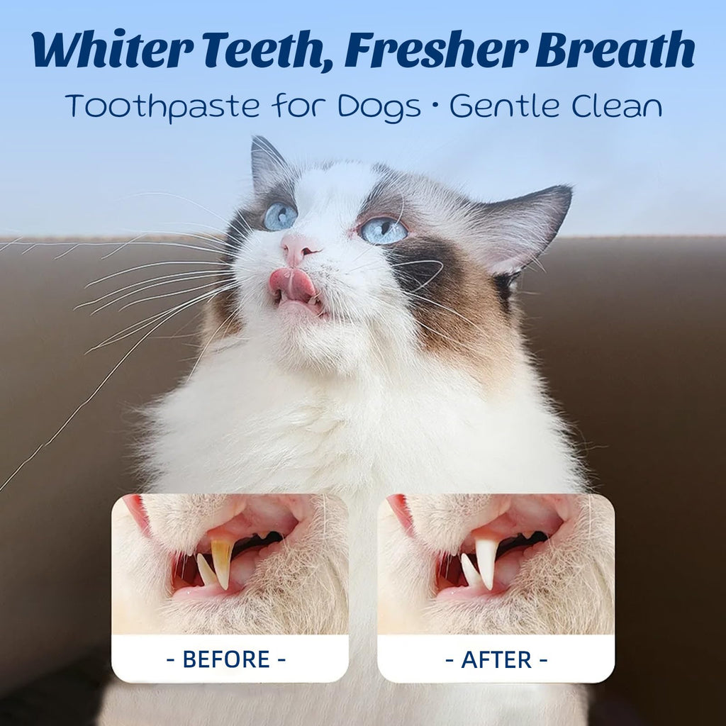Coconut Chicken Flavor Dog Toothpaste with Toothbrush Kit 2.1oz G398226