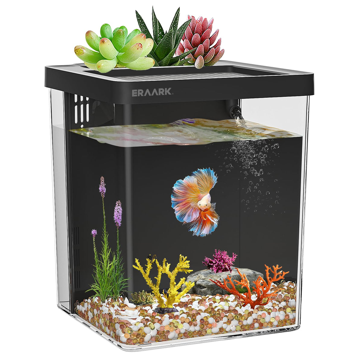 1.5 Gallon Betta Fish Tank Aquarium Kit with Filter LED Light X2897