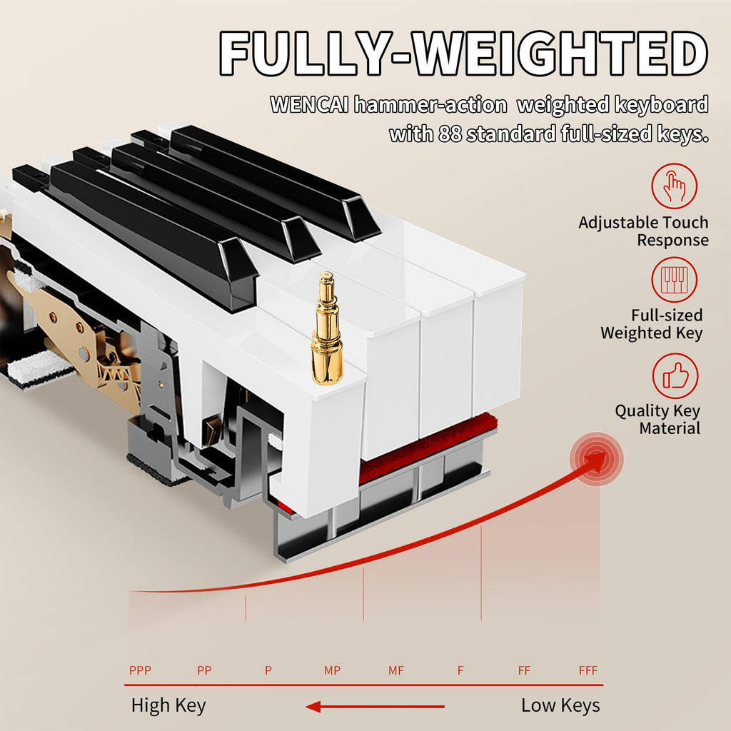 88 Key Fully Weighted Digital Piano Y82345