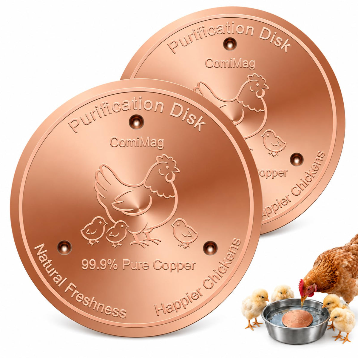 Copper Disc Z165616