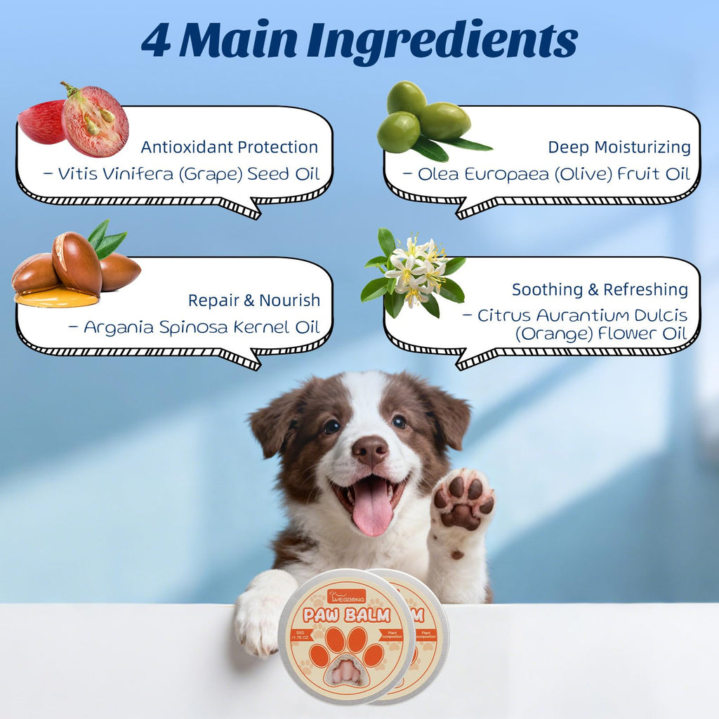Coconut Chicken Flavor Dog Toothpaste with Toothbrush Kit 2.1oz G398226