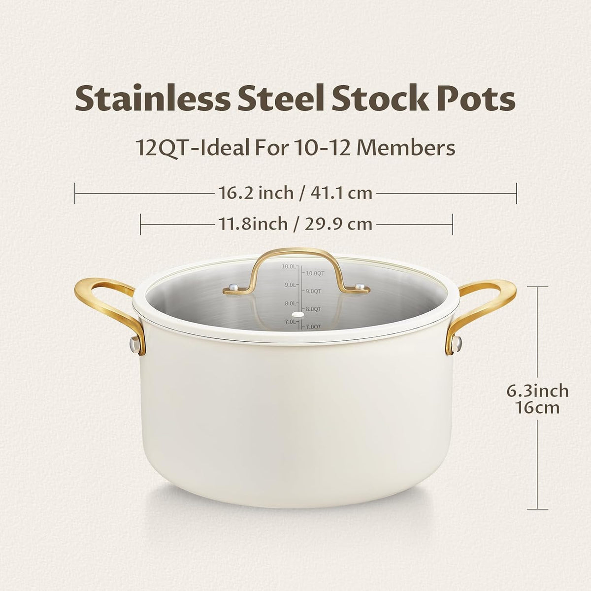 12 Quart Stainless Steel Stock Pot L92654