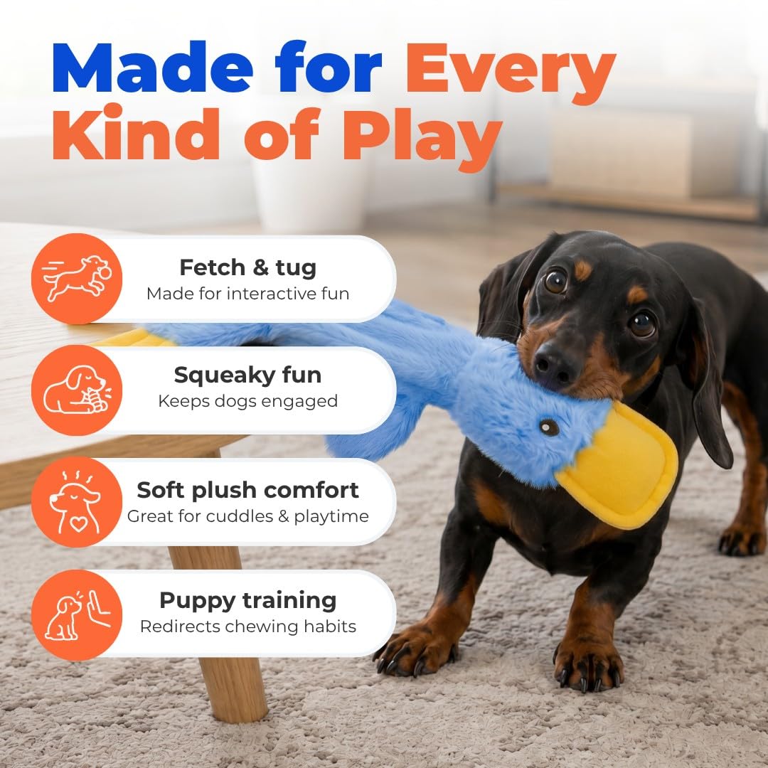 Interactive Squeaky Dog Toy Crinkle Duck Blue B391264