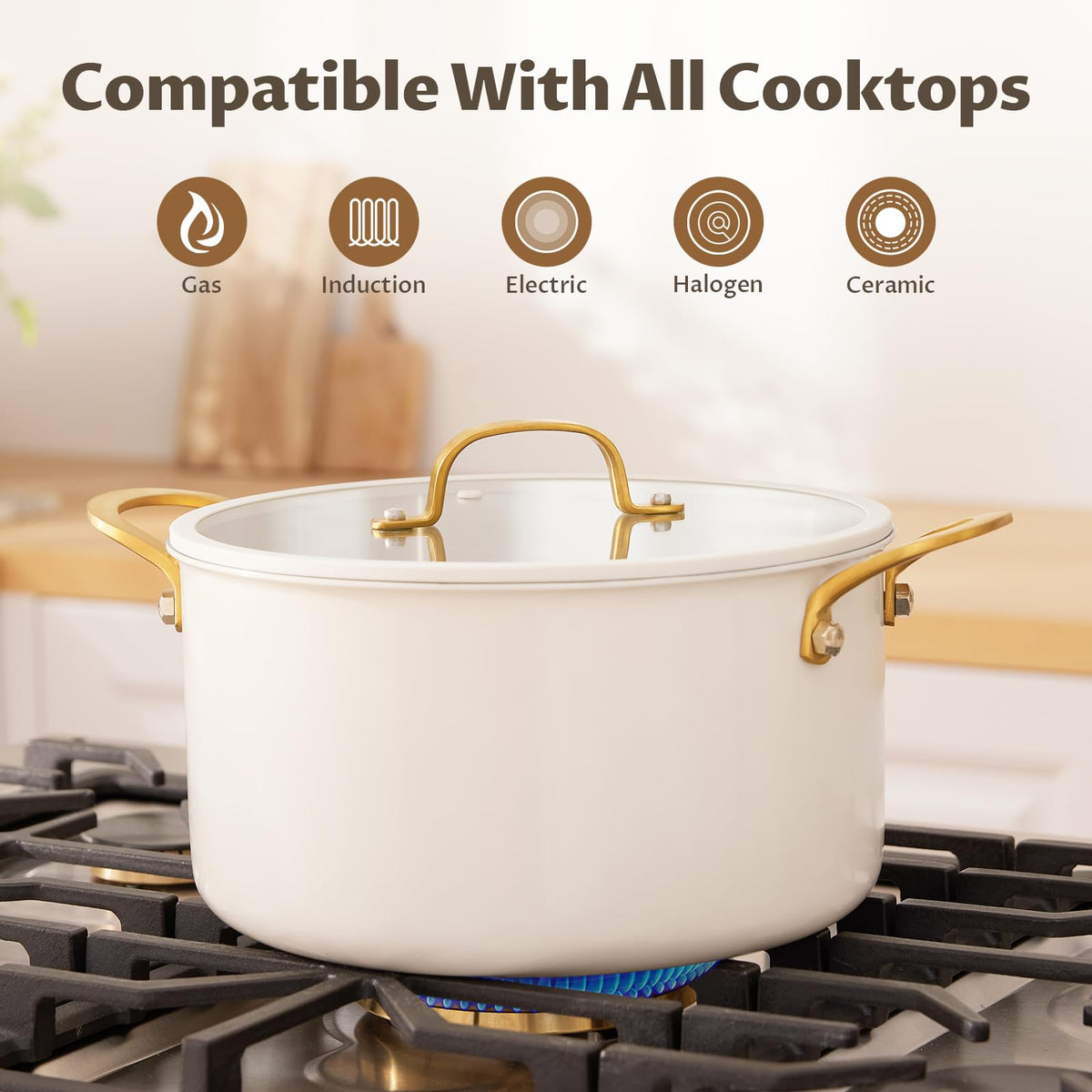 12 Quart Stainless Steel Stock Pot L92654