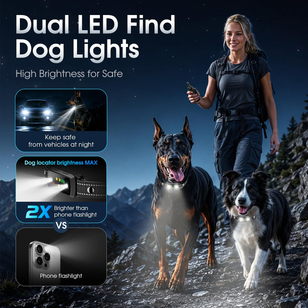 2 Dogs Waterproof Dog Training Collar with Remote G239154