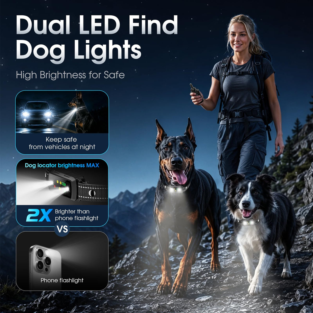 2 Dogs Waterproof Dog Training Collar with Remote G239154