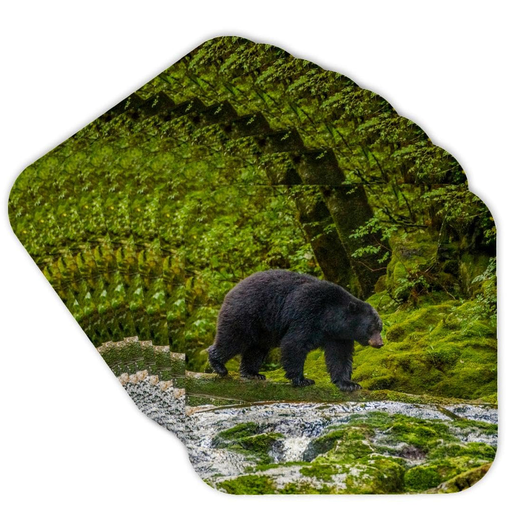 Set of 8 Coasters Y936411