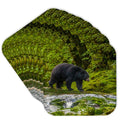 Set of 8 Coasters Y936411
