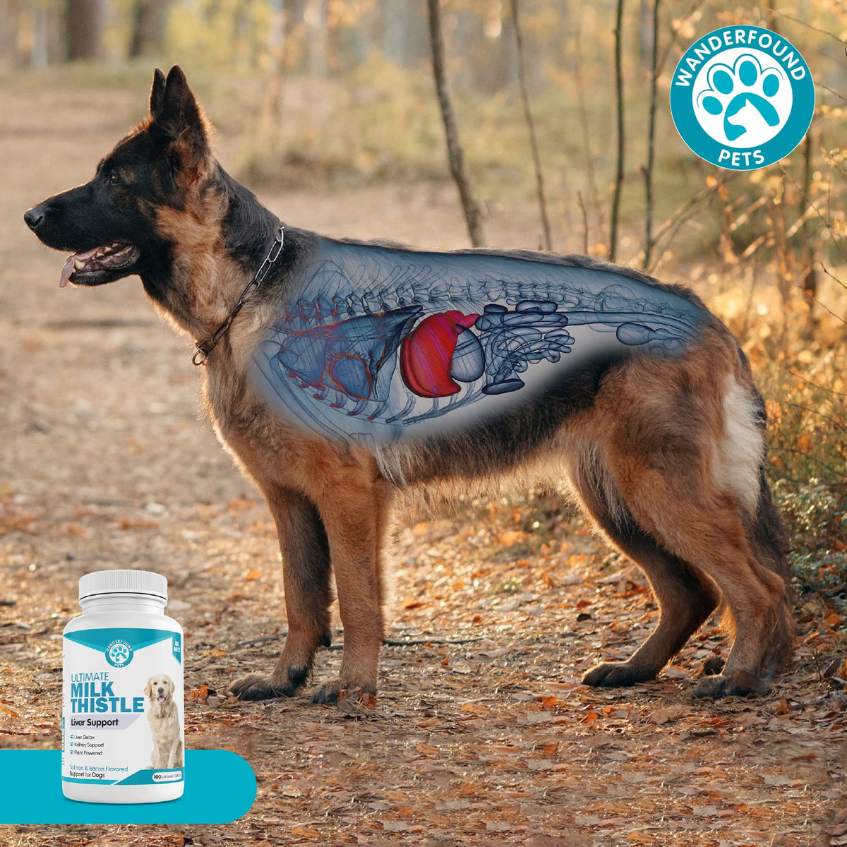 Milk Thistle for Dogs Chewable Tablets P257196