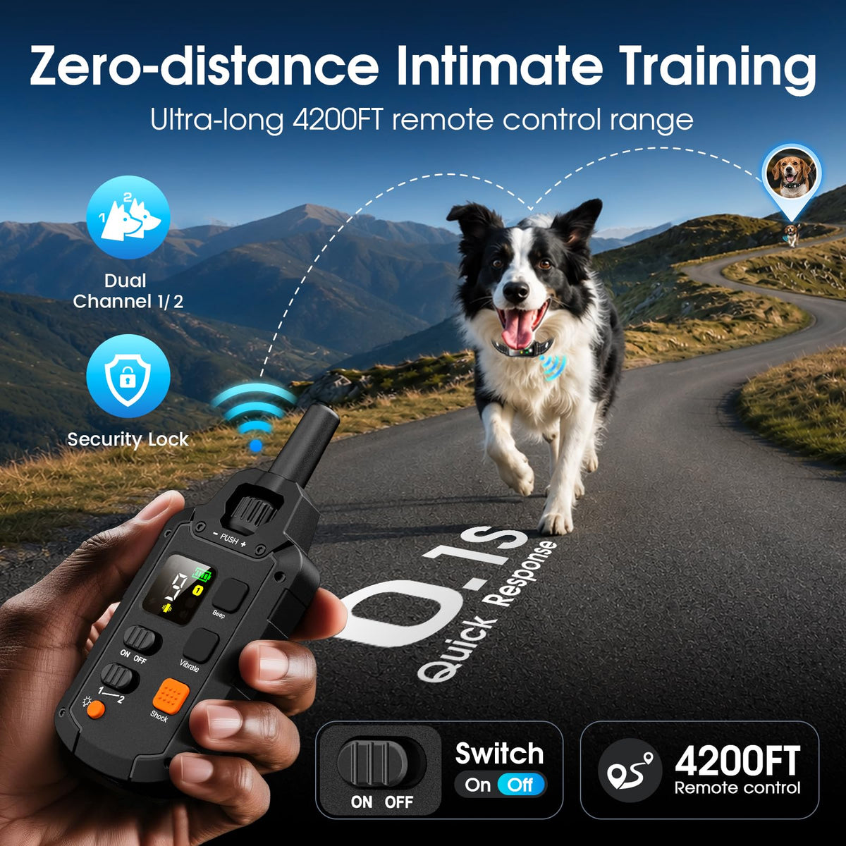 2 Dogs Waterproof Dog Training Collar with Remote G239154