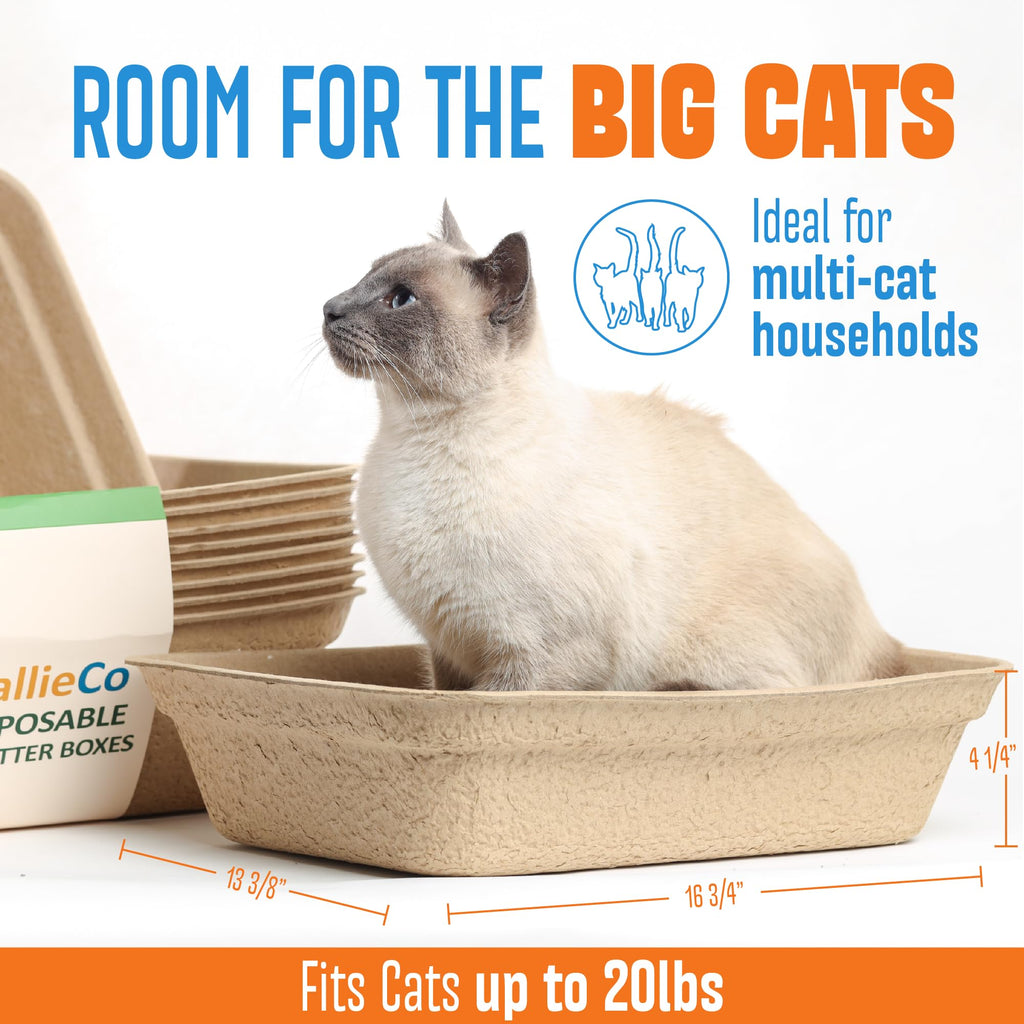 Large 6 Pack Leak Resistant Disposable Cat Litter Boxes V984662