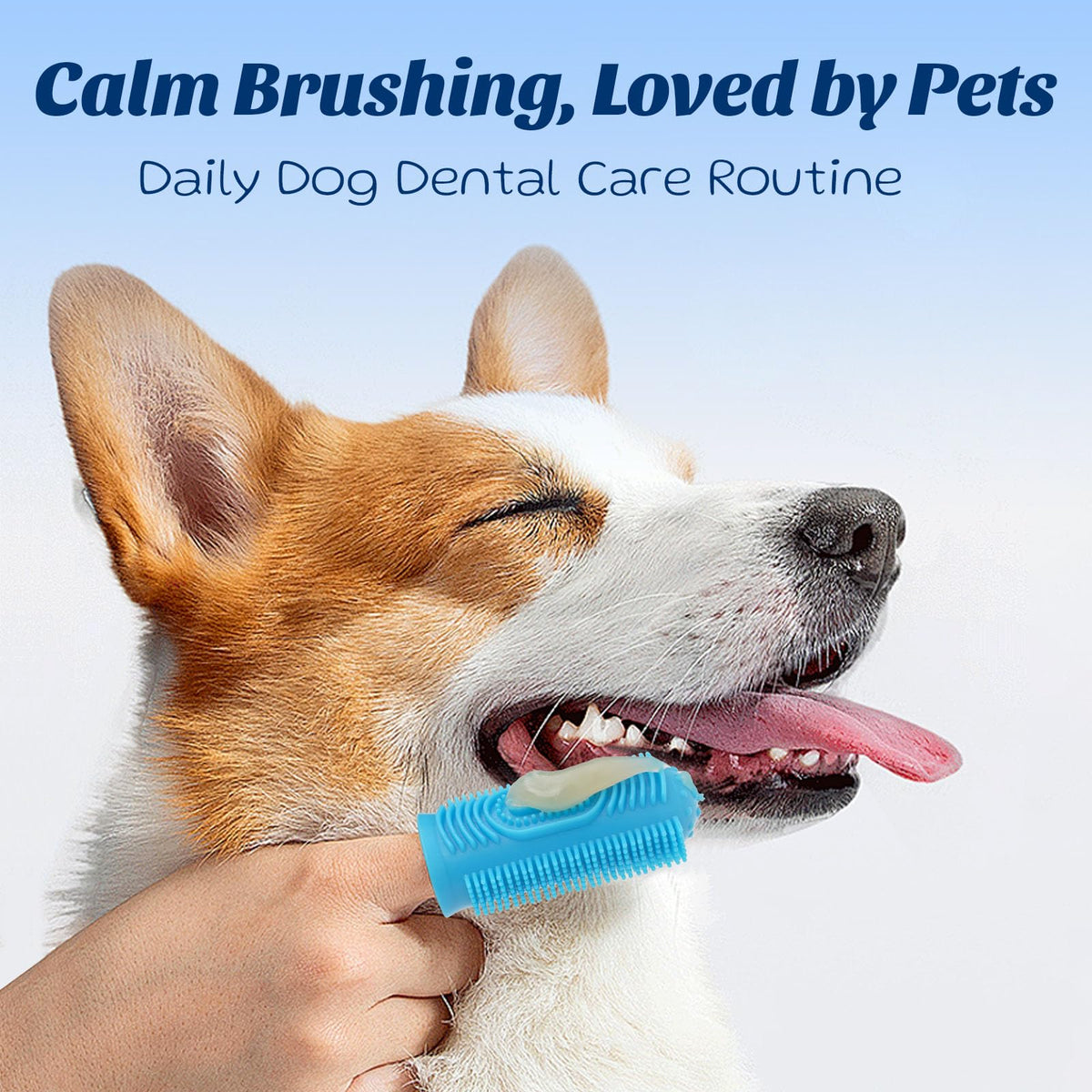 Coconut Chicken Flavor Dog Toothpaste with Toothbrush Kit 2.1oz G398226