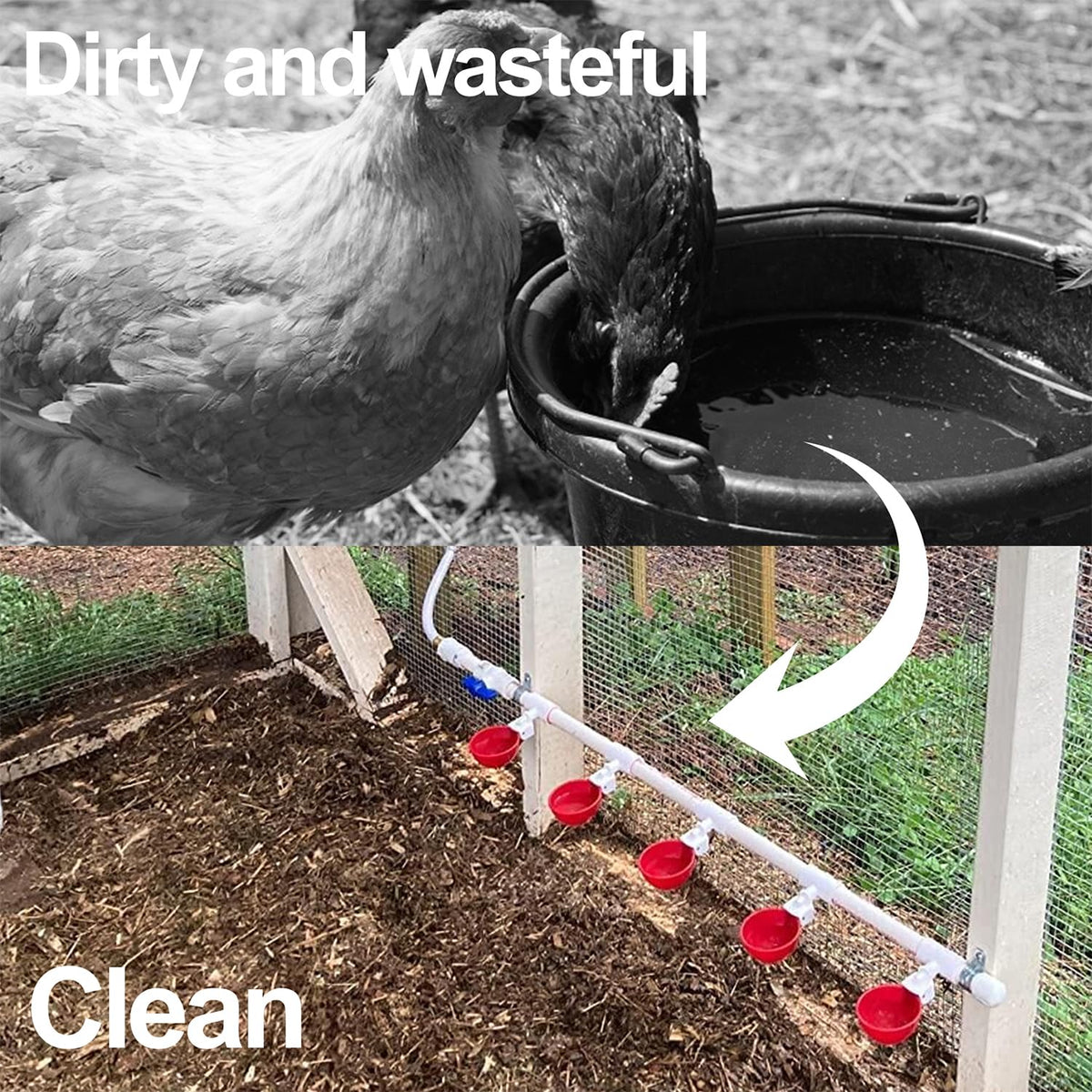 16 Pack Poultry Waterer Cups with Mounting Hole Opener D319
