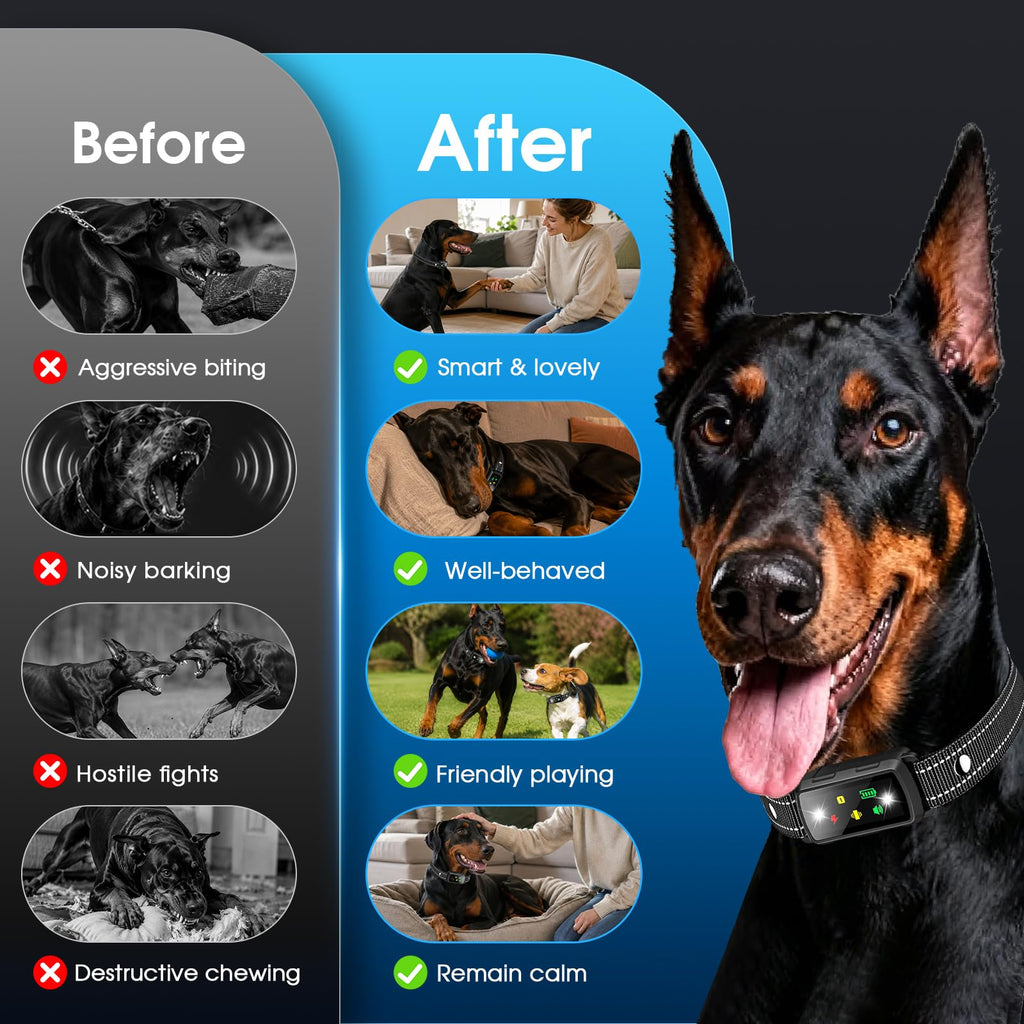 2 Dogs Waterproof Dog Training Collar with Remote G239154