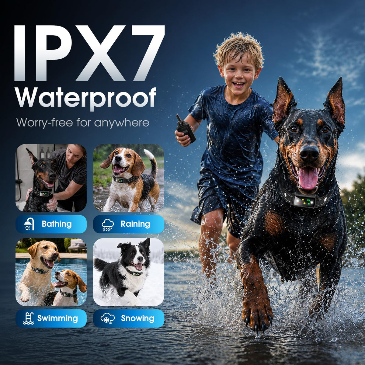 2 Dogs Waterproof Dog Training Collar with Remote G239154