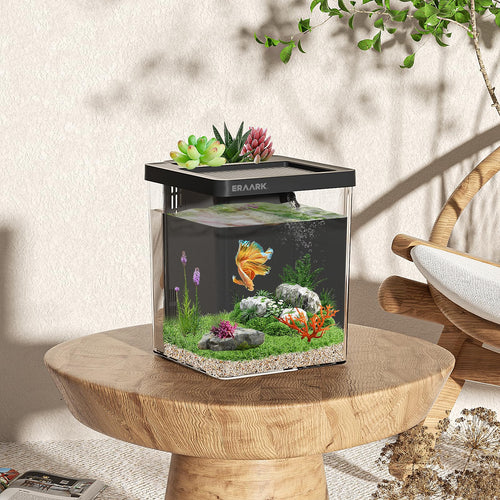1.5 Gallon Betta Fish Tank Aquarium Kit with Filter LED Light X2897
