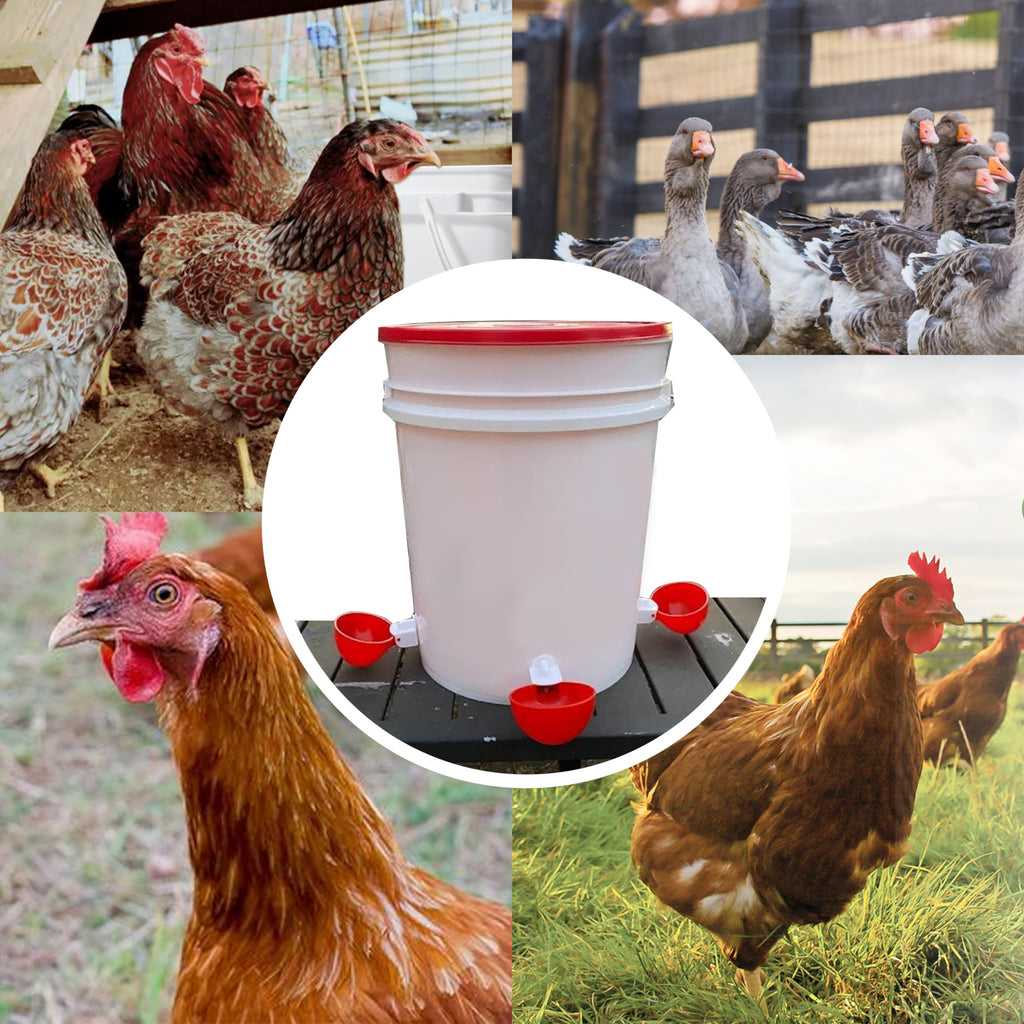 16 Pack Poultry Waterer Cups with Mounting Hole Opener D319