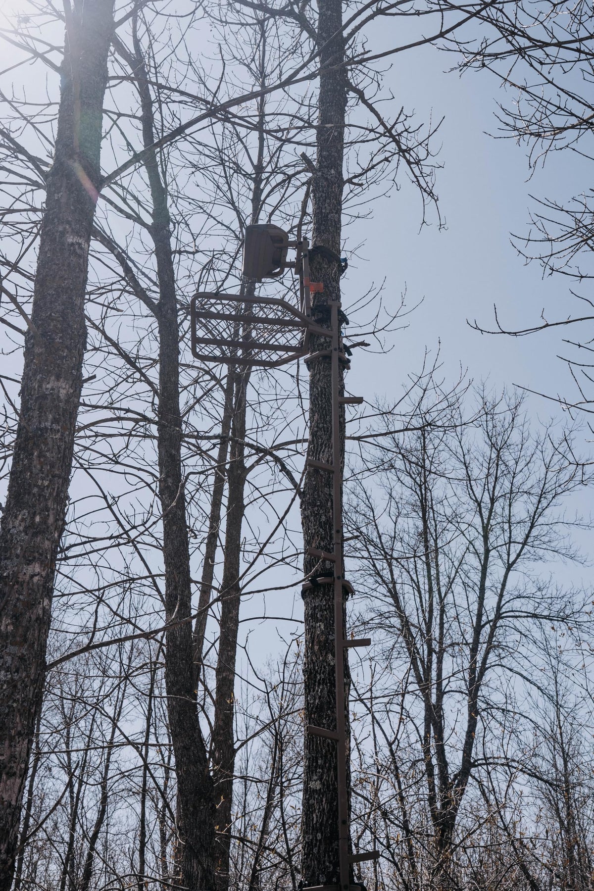 16 FT Steel Treestand Climbing Sticks X760363