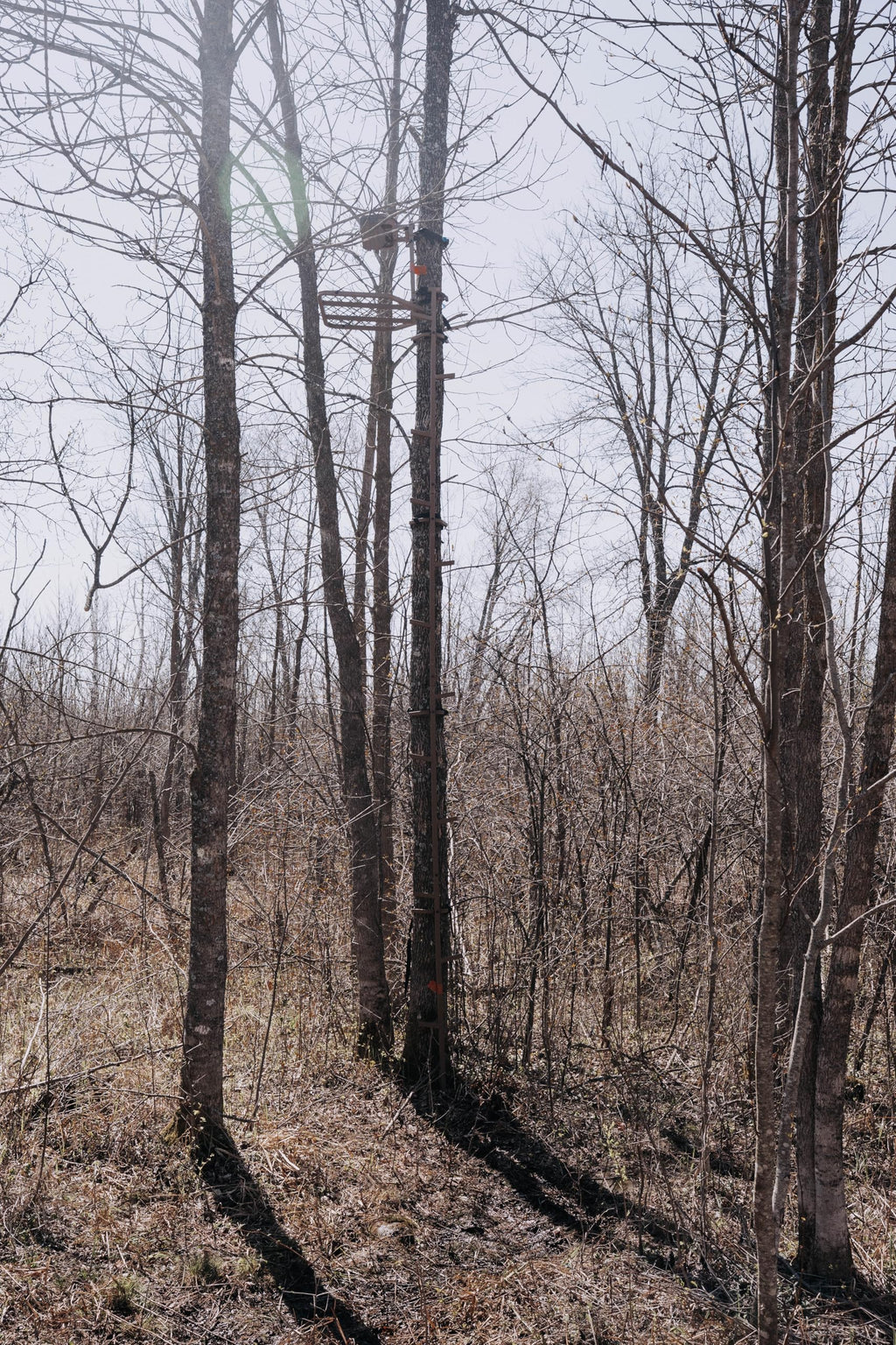 16 FT Steel Treestand Climbing Sticks X760363