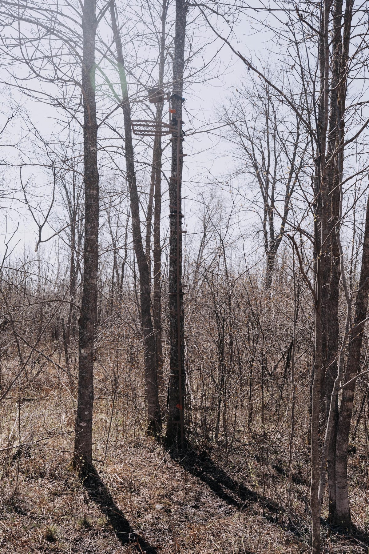 16 FT Steel Treestand Climbing Sticks X760363
